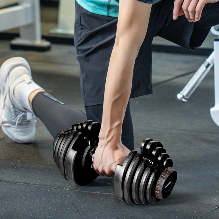 一般的なフリーウェイトの違いを簡単に確認できます! 一般的なフリーウェイトの違いを簡単に確認できます!