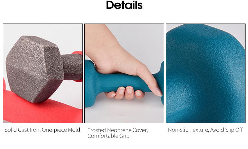 霜のプラスチック浸漬ダンベルが平らな頭を浸しました 霜のプラスチック浸漬ダンベルが平らな頭を浸しました