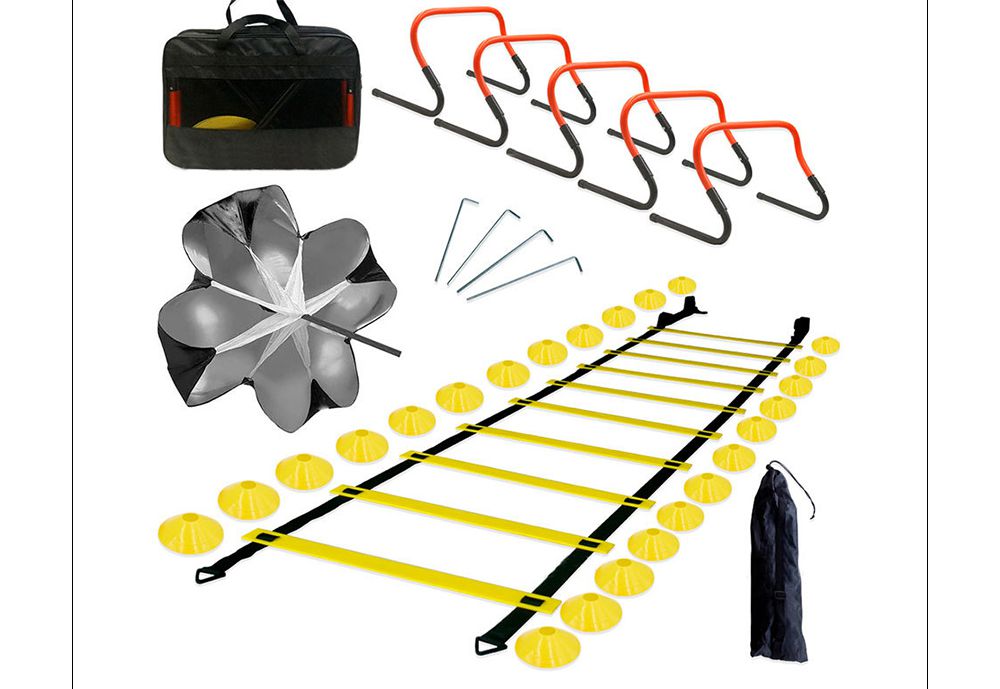 敏ilityはしごセット 敏ilityはしごセット