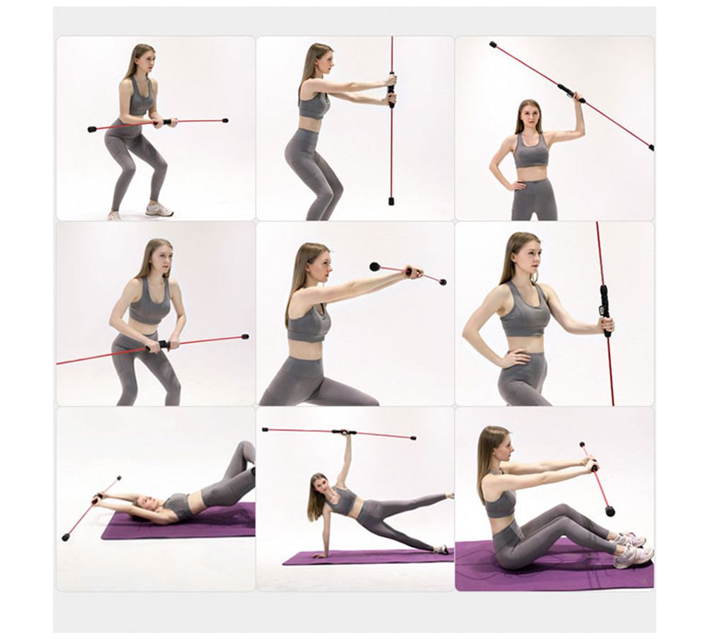 フィリスロッド