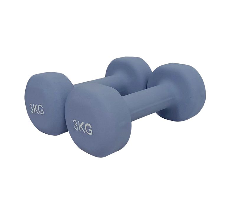 霜のプラスチック浸漬ヘックスダンベルは平らな頭を浸しました