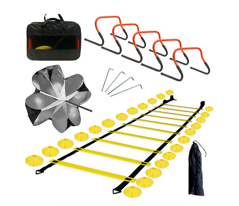 敏ilityはしごセット